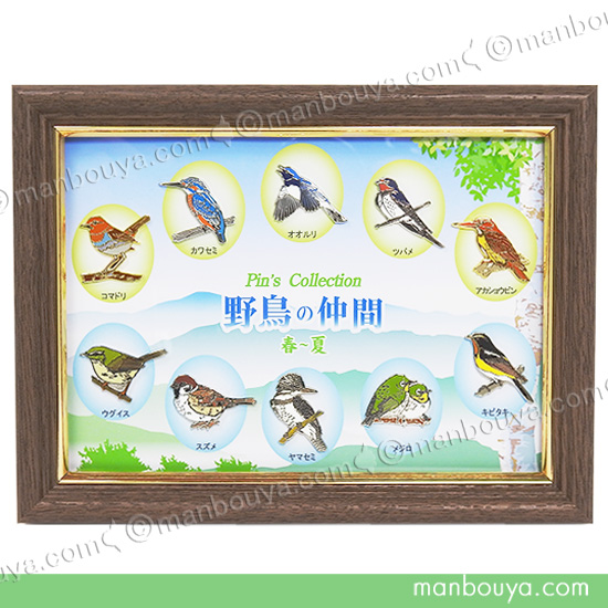 野鳥 ピンバッジ コレクション ピンズ ピンバッヂ 額入り 10種セット