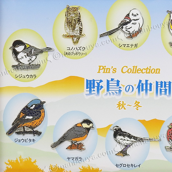 野鳥 ピンバッジ コレクション ピンズ ピンバッヂ 額入り 10種セット
