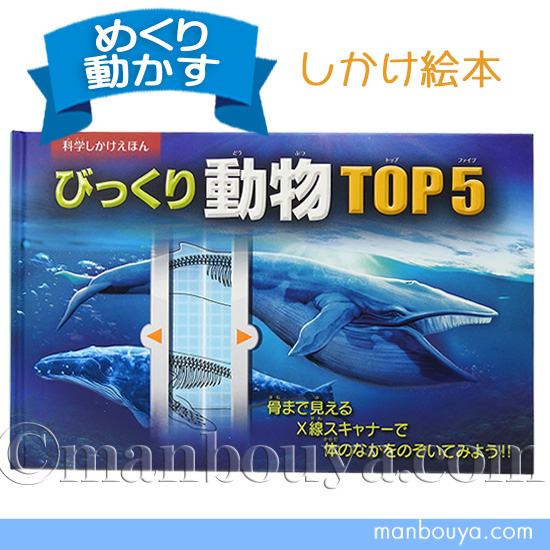 しかけ絵本 動物 図鑑 大日本絵画 びっくり動物 TOP5 : まんぼう