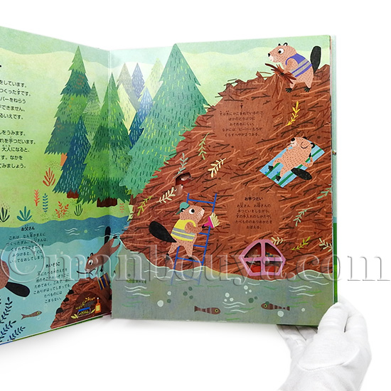 しかけ絵本 ５冊セット　大日本絵画 dnk-287791.jpg