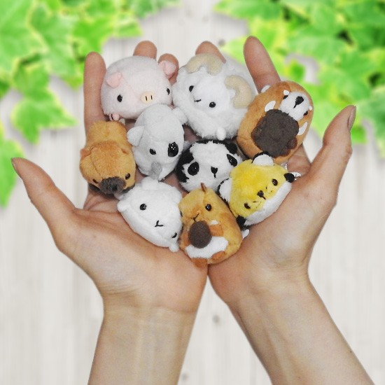 アラアラ おてだま　ぬいぐるみボックスセット　全5種 5%OFF ニワトリ ひよこ ぬいぐるみ セット A-SHOW ムニュマム