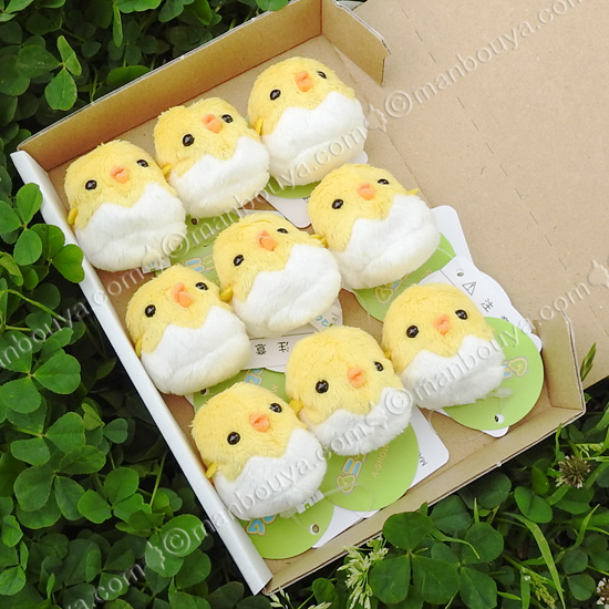 アラアラ おてだま　ぬいぐるみボックスセット　全5種 5%OFF 動物園 雑貨 ぬいぐるみ セット A-SHOW ムニュマムお手玉