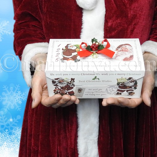 クリスマスギフトボックス イモリ ぬいぐるみ セット 2色