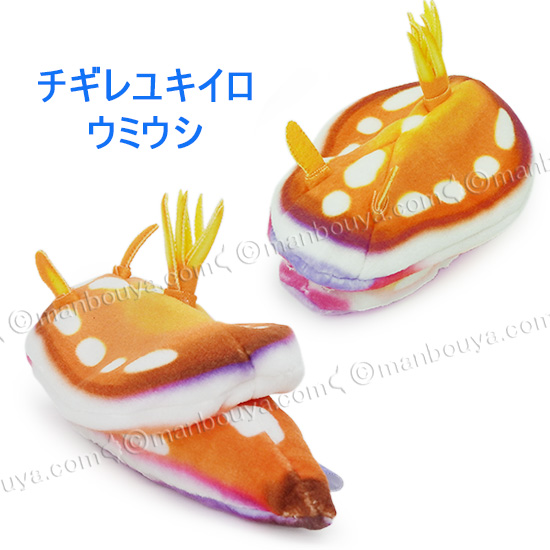 ATC ウミウシのぬいぐるみ アートユニブテクニカラー いきもん 5