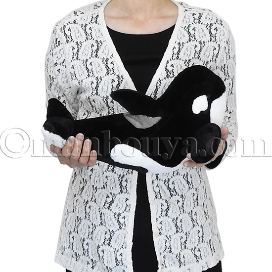 シャチ ぬいぐるみ 水族館 グッズ ISHIWATA シャチくん Mサイズ 33cm