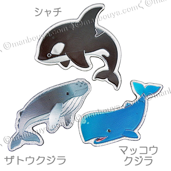 水族館お土産 海の生き物 グッズ エッチングダイカットマグネット