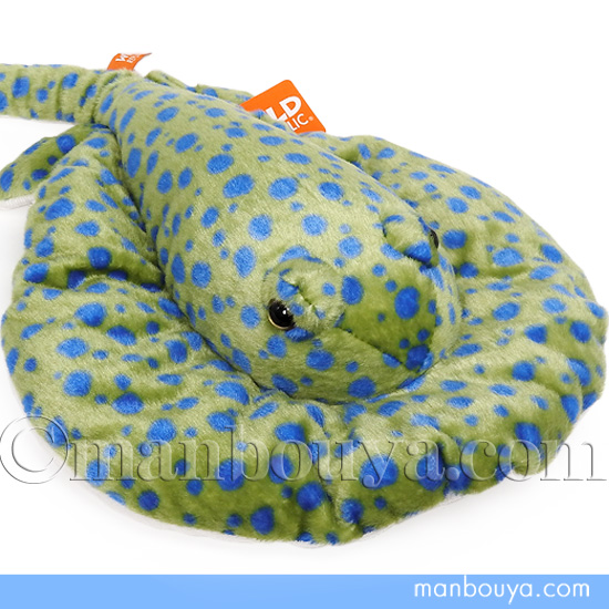 ワイルドリパブリック ぬいぐるみ エイ 水族館 おもちゃ ルリホシエイ