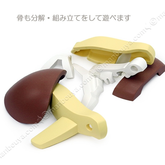 SALE 知育玩具 3歳〜 カメ 海亀 水族館グッズ おもちゃ HALF