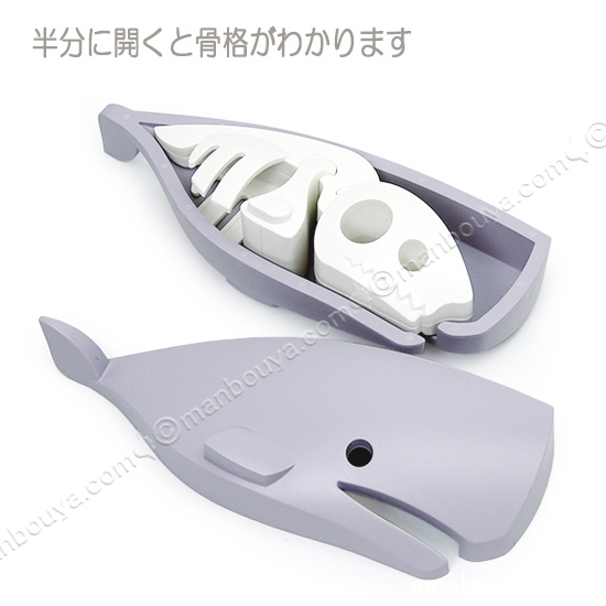 マッコウクジラの歯 4本セット 合計660g 鯨歯 184g マッコウ クジラ 歯 素材 天然 貴重 - メルカリ