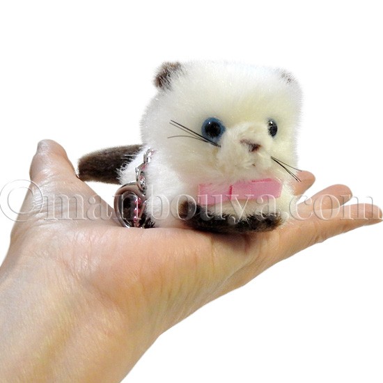 猫 ぬいぐるみ ネコ たけのこ TAKENOKO バンビーノキャット キー