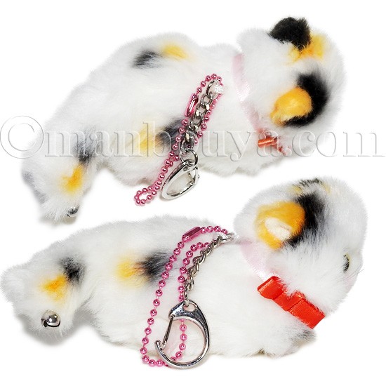 joyful mates TAKENOKO 猫　ぬいぐるみ　3こ　中古品　② joyful mates TAKENOKO 猫 ぬいぐるみ 3こ 中古品 ② - メルカリ