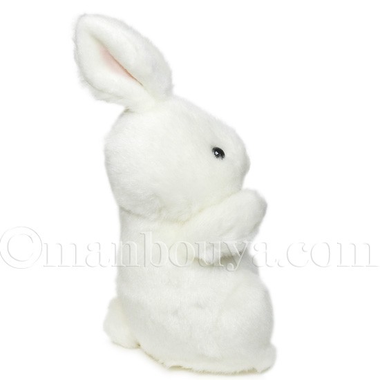 ジョンホワイト　ウサギ John_Tenniel_-