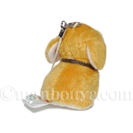 ぬいぐるみ 犬 たけのこ JOYFUL MATES ジョイフルメイト プチ