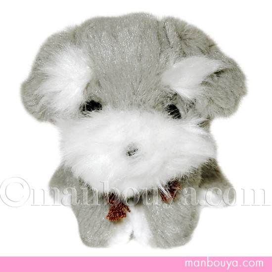 たけのこ ぬいぐるみ 犬 ミニチュアシュナウザー TAKENOKO