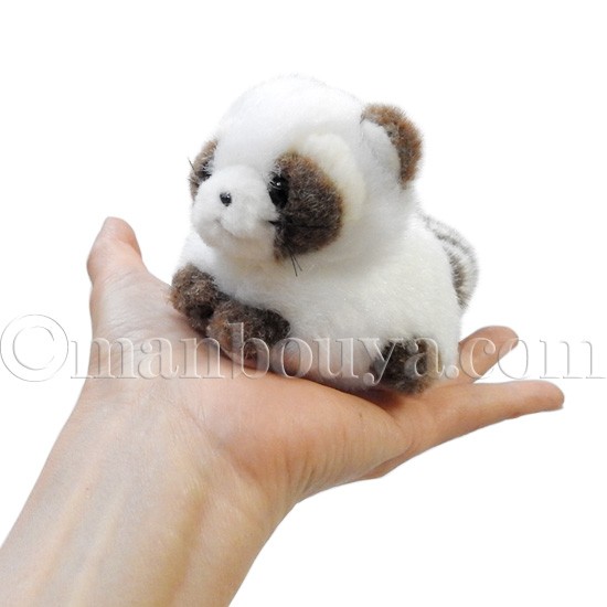 アライグマ ぬいぐるみ 動物園 たけのこ TAKENOKO JOYFUL MATES