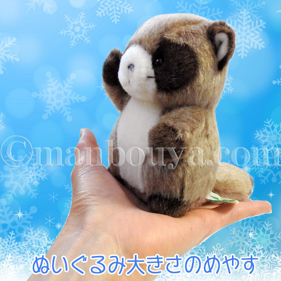 トナカイしゃん、たぬきしゃんぽしぇっとセット Amazon.co.jp: 3個セット たぬき（女の子）ぐい呑 [ 5.2×4cm