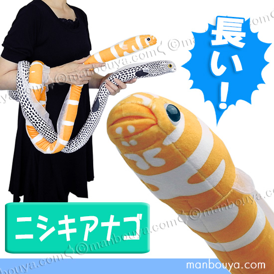 tkof-023941.jpg
