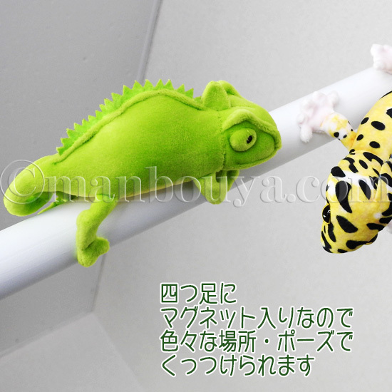 くるくるカメレオン くるくるカメレオン