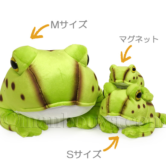 10%OFF カエル ぬいぐるみ ベルツノガエル アニマニア 3サイズ