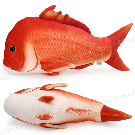 鯛　big ぬいぐるみ　6個セット Amazon.co.jp: 超 BIG鯛ぬいぐるみ リアル鯛 BIGぬいぐるみ