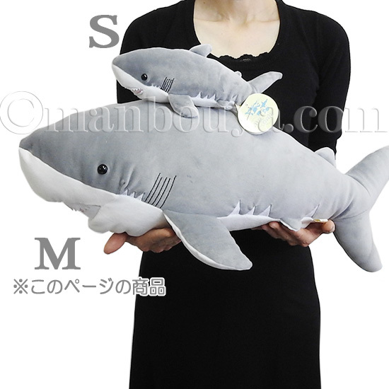 tkof-906329_5.jpg