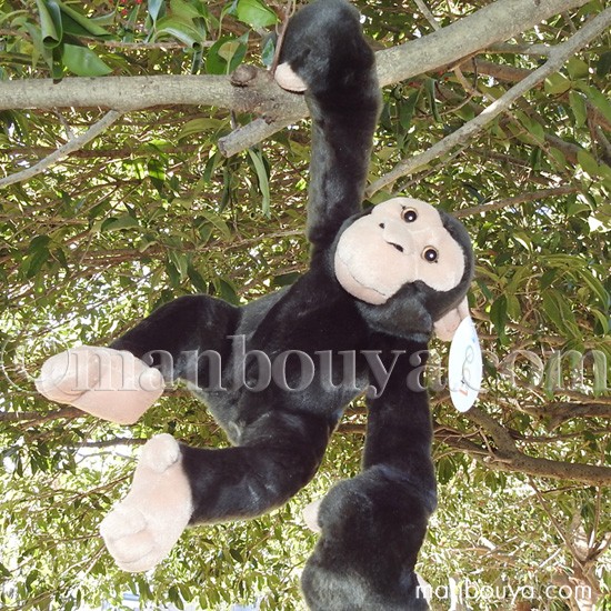 チンパンジー ぬいぐるみ 動物園 おもちゃ TST 101 ぶらさがり