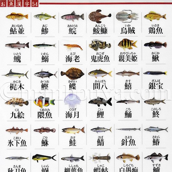 お魚漢字 A4 クリアファイル 図鑑 大全シリーズ ザ・アクセス おさかな漢字 クリアフォルダー メール便発送可 : za-019147 :  まんぼう屋ドットコム-Yahoo!店 - 通販 - Yahoo!ショッピング