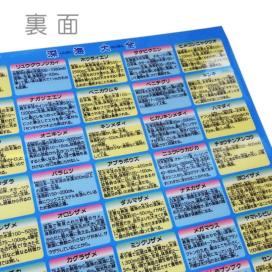 A4クリアファイル 深海魚 グッズ 図鑑タイプ ザ・アクセス 深海大全