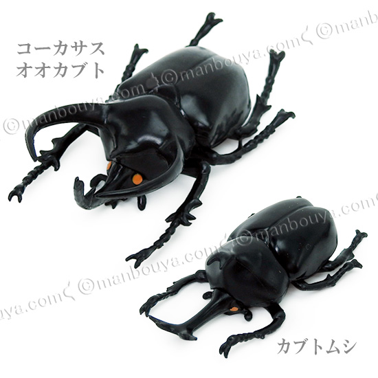 ジラフ　立体昆虫タイ 動物 生物 立体図鑑 ライナセラスビートルボックス / カロラータ