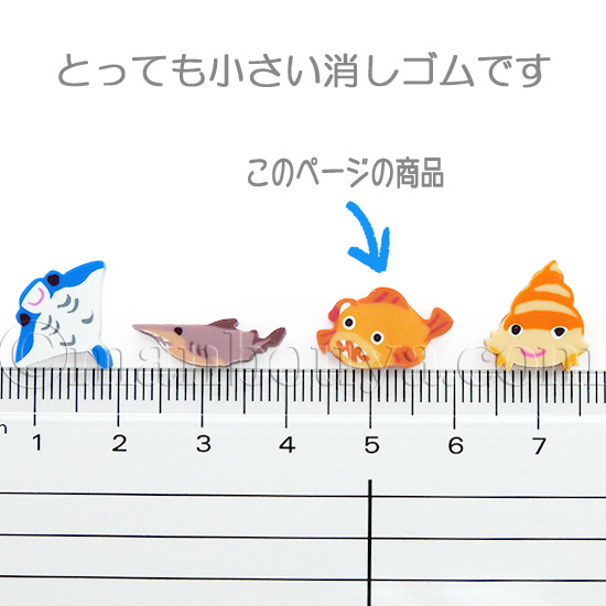 深海魚 グッズ 水族館 お土産 プチボトルパラダイス ミニ消しゴム