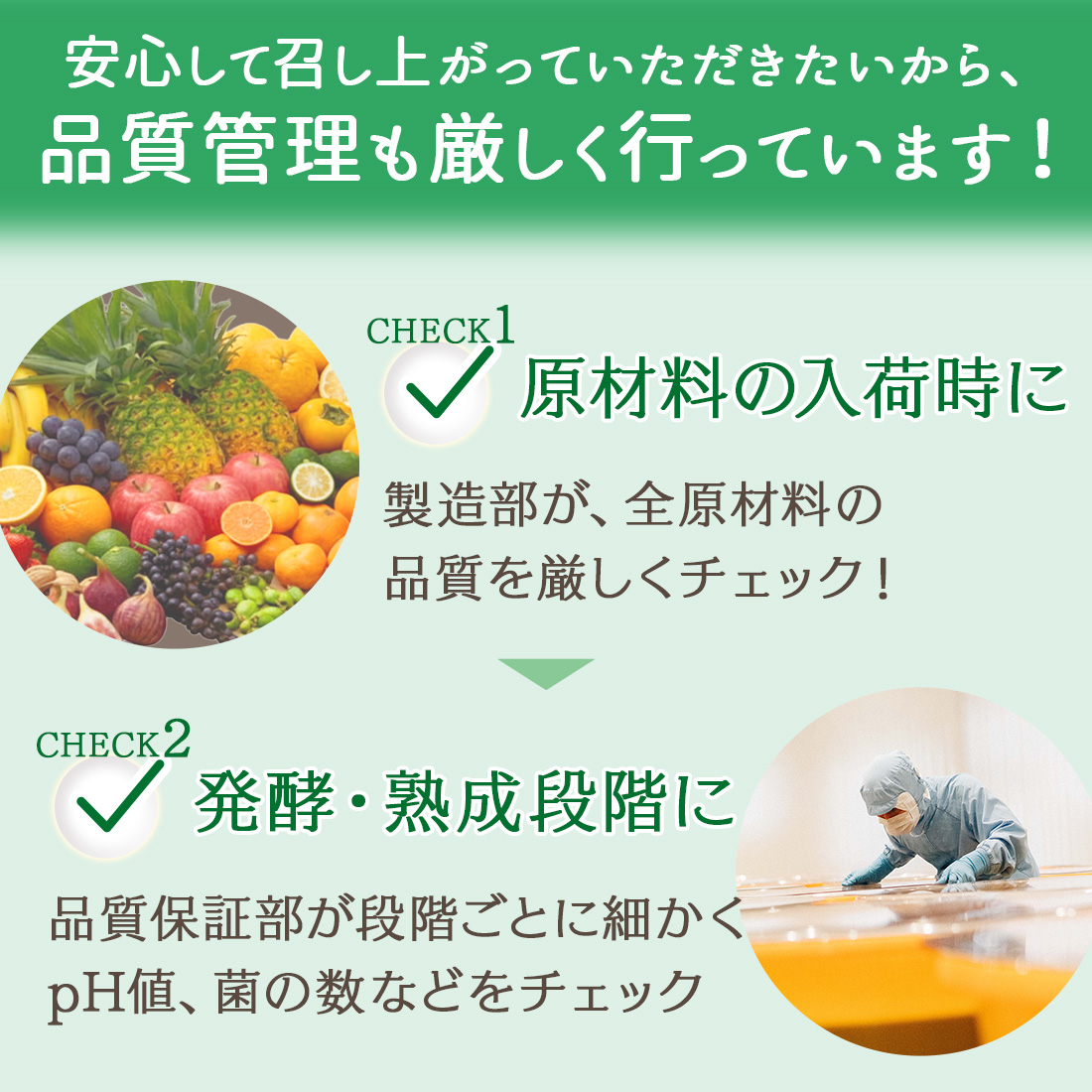 万田酵素 ペースト 公式 スタンダード ペーストタイプ 分包 約1ヶ月分