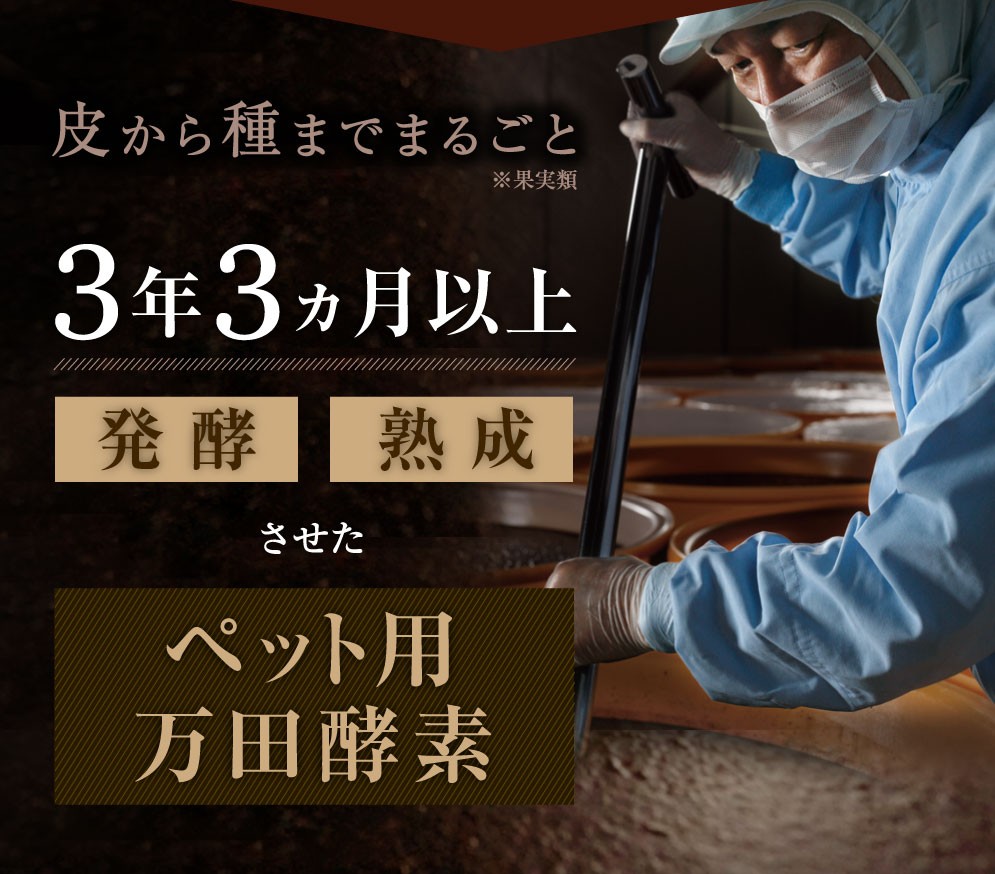 ペット用万田酵素 フェルミック 15g 類粒 公式 犬 猫 酵素 サプリ 万田発酵 発酵食品 国産 健康 植物発酵エキス 保存料不使用 Fermic 万田発酵 通販 Paypayモール