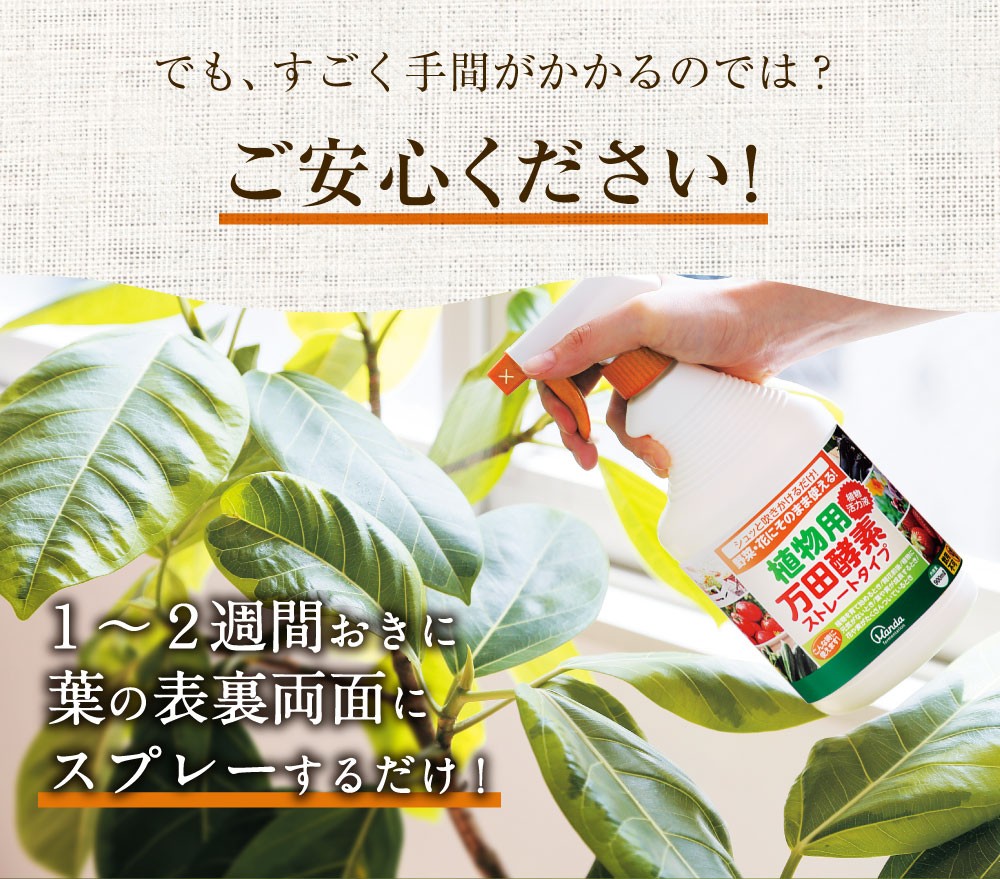 万田酵素 肥料 植物用万田酵素ストレートタイプ 900ml ガーデニング