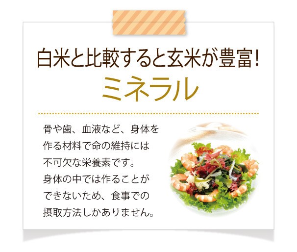 となります 万田発酵のもちもち寝かせ玄米ごはん 無添加 ごはんパック 玄米 送料無料 万田発酵PayPayモール店 - 通販 - PayPayモール  48食 180g×48パック レトルト ごはん 保存食 備蓄 国産 ℌいつでもお