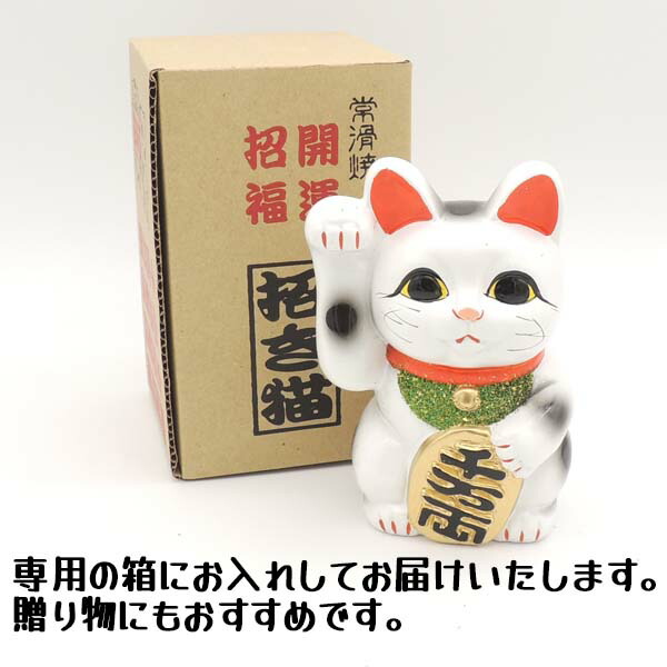 招き猫 貯金箱 おしゃれ お札 かわいい 紙幣 100円玉 猫 置物