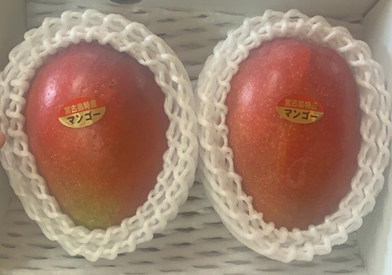 kou出品 マンゴー×2 kou出品 マンゴー×2 7月上旬から順次発送】極上完熟マンゴー 2Lサイズ