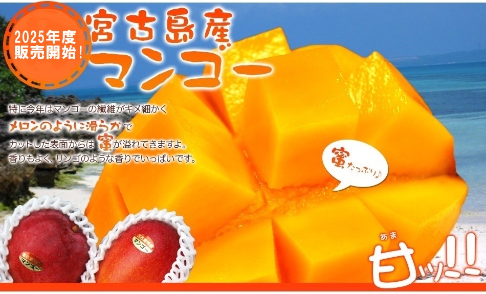 マンゴー屋さん 2号店 - Yahoo!ショッピング