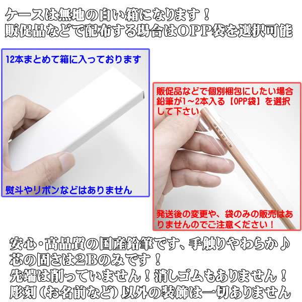 2B 名入れ 鉛筆 無地 卒園祝 入学祝 ギフト プレゼント 国産 彫刻料金