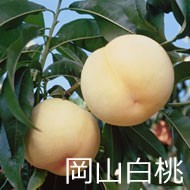 タイトル画像