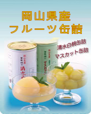 清水白桃缶詰マスカット缶詰
