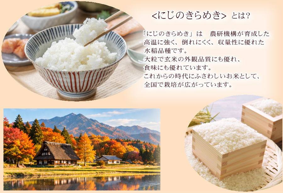 新米 にじのきらめき 30kg 玄米 会津産 お米 8年産 送料無料『令和8年