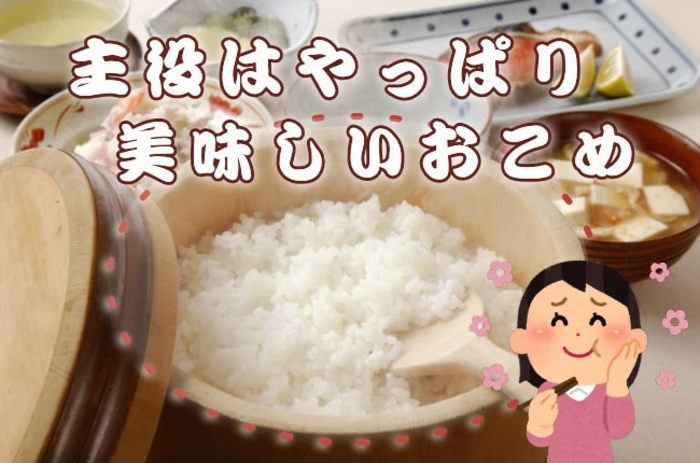お米 精米 10kg 送料無料 国内産 『うちの自慢のおこめ白米10kg