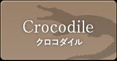 クロコダイル