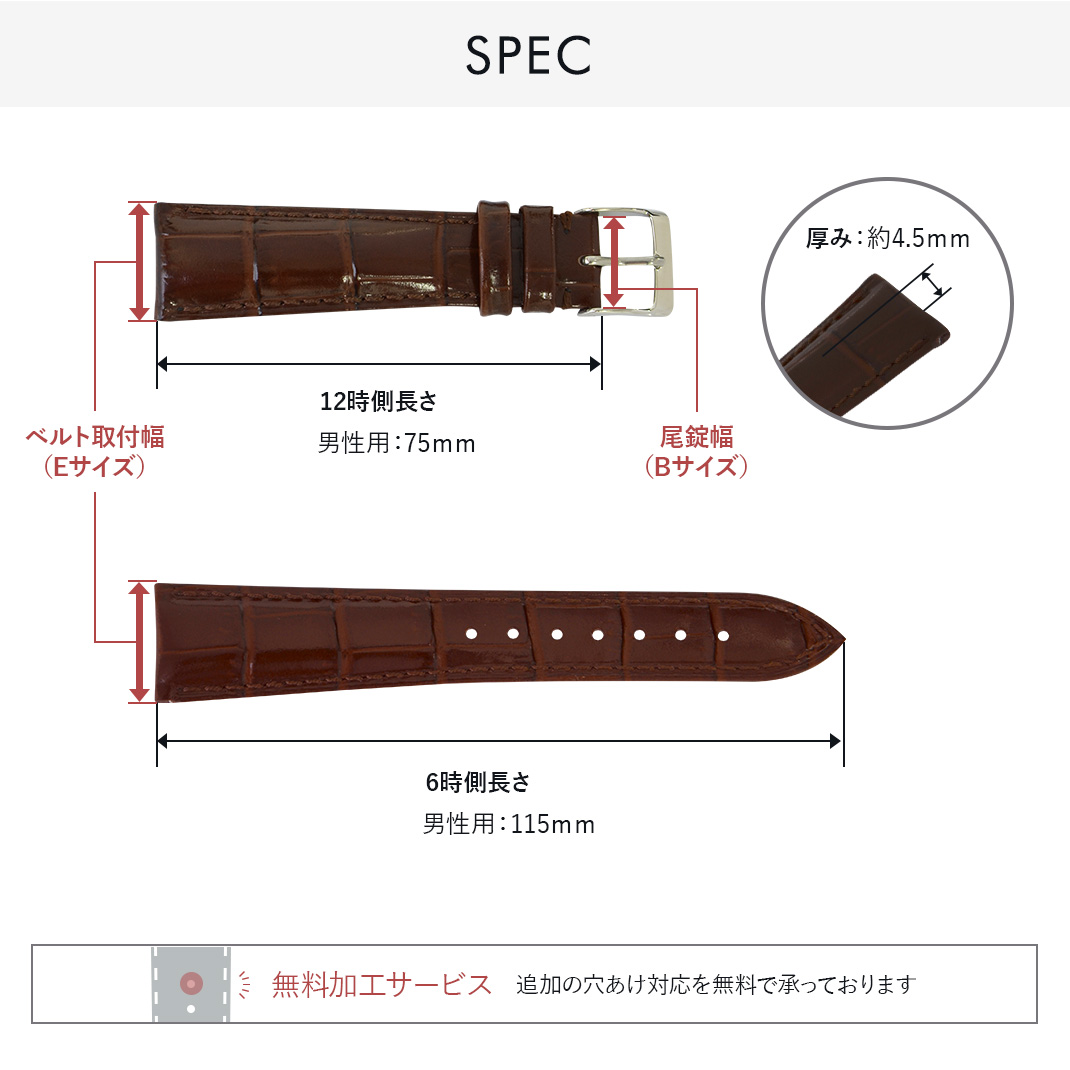 CASSIS（カシス） シチズン コレクション ロイヤルブルー 用 裏面防水