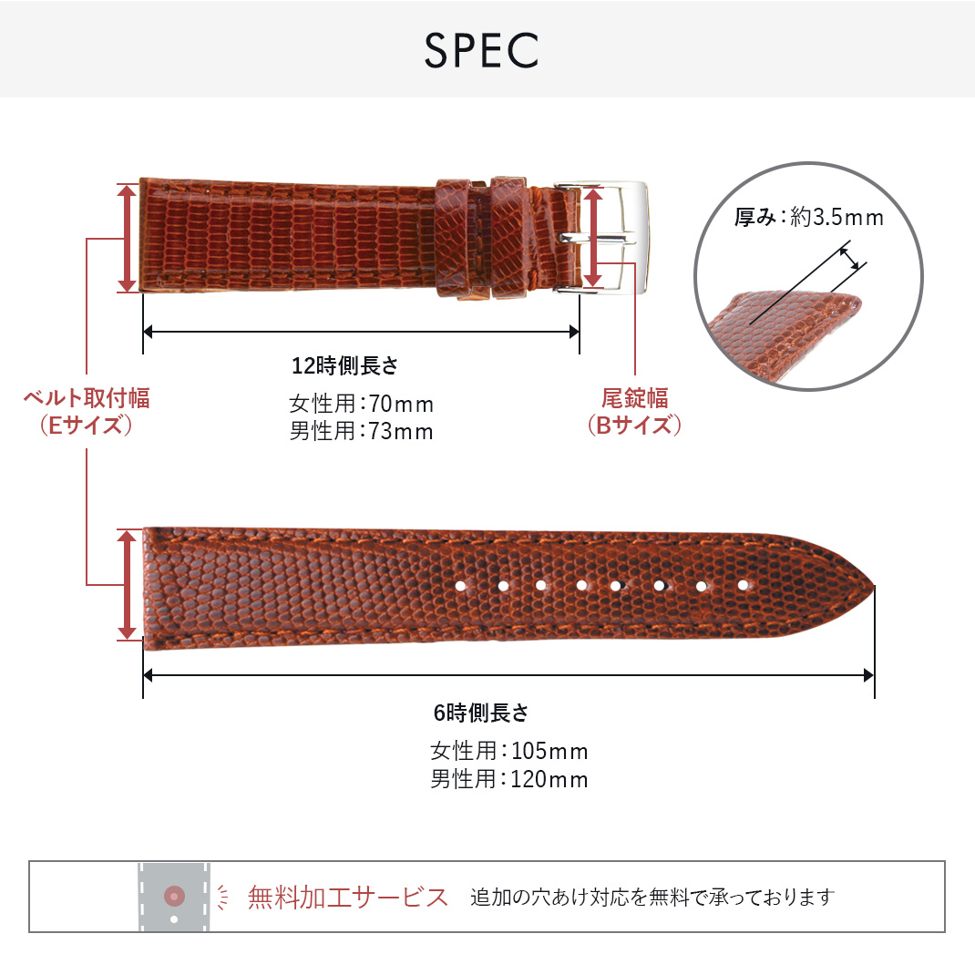 Rosemont ロゼモン 用 にぴったりの モレラート VIOLINO 時計