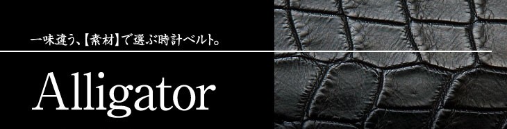 アリゲーター時計ベルト | ワニ革腕時計バンド - アメリカ軍や