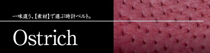 オーストリッチ（ダチョウ） | 時計ベルト専門店 mano a mano