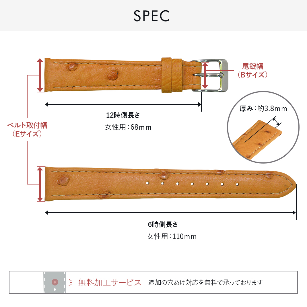 CASSIS 腕時計ベルト バンド オーストリッチ 本革 12mm 14mm