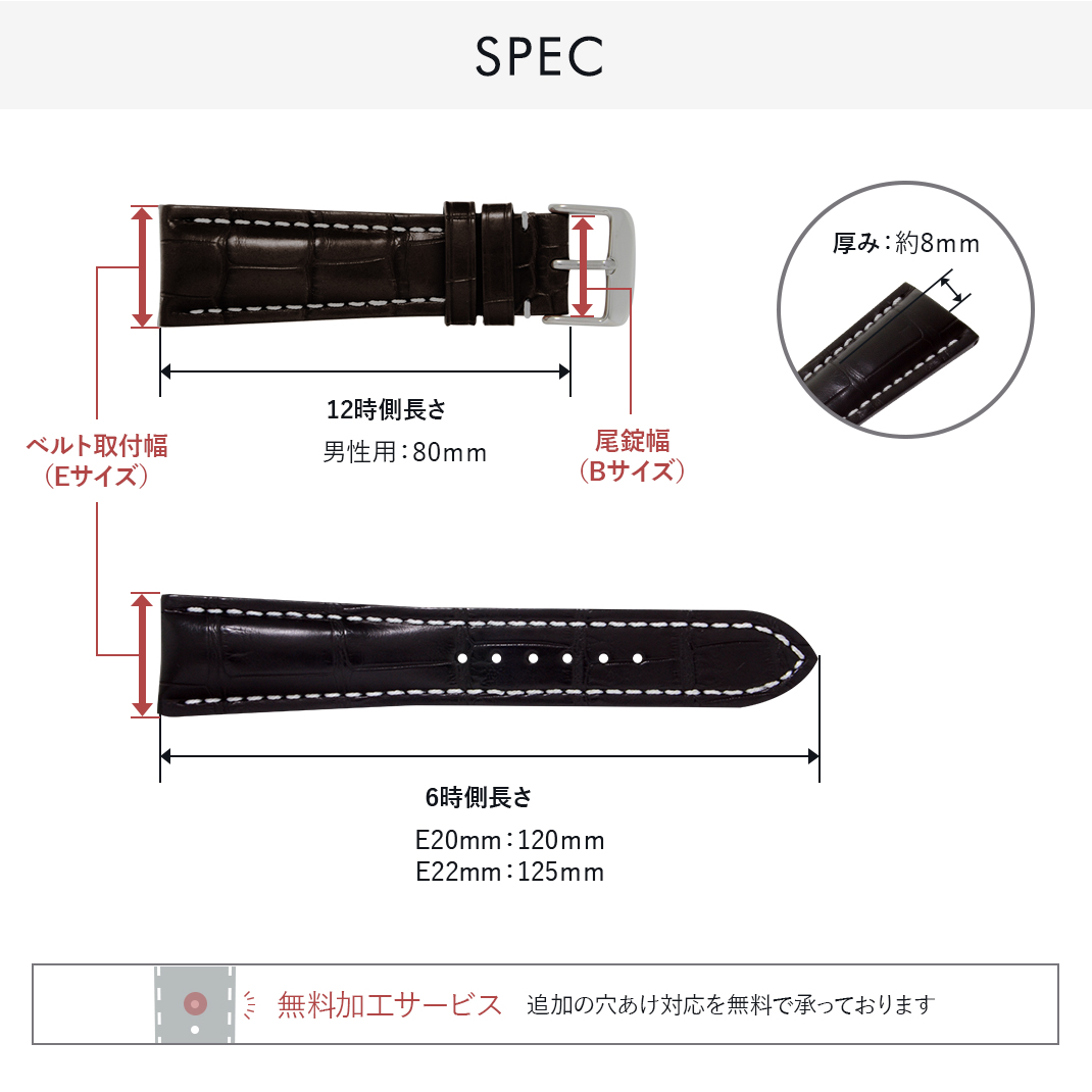 CASSIS（カシス） 時計ベルト アリゲーター ワニ革 裏面防水 TYPE BRE