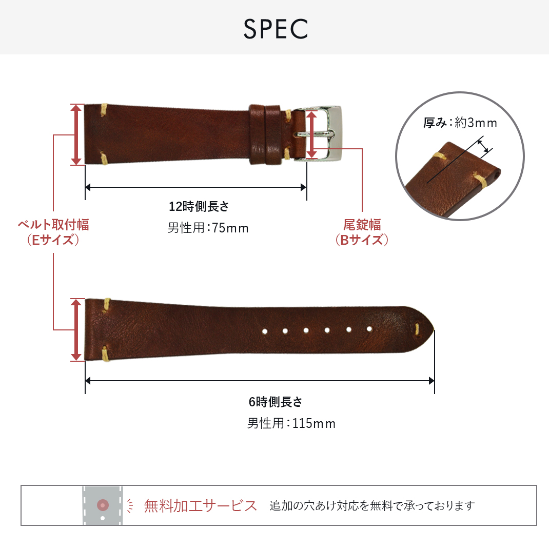 CASSIS（カシス） シチズン プロマスター用 裏面防水 CITIZEN